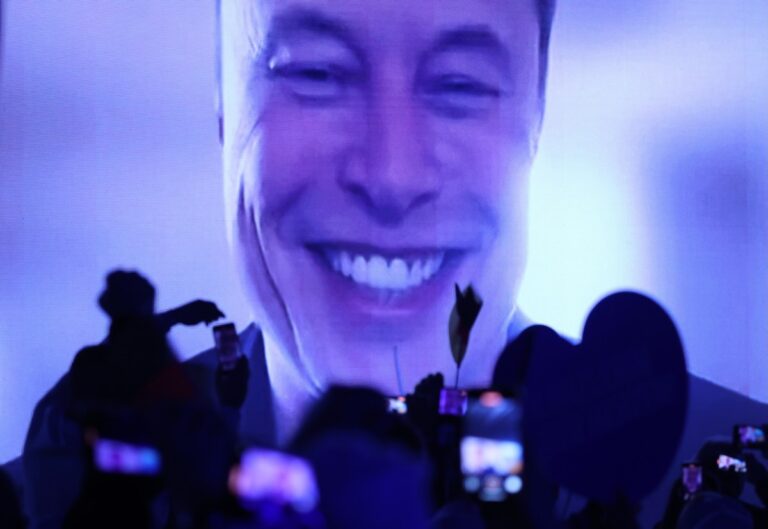 elon musk election afd purple