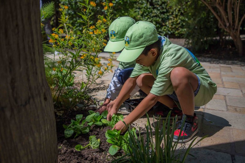 young volunteers carefully plant new flowers
