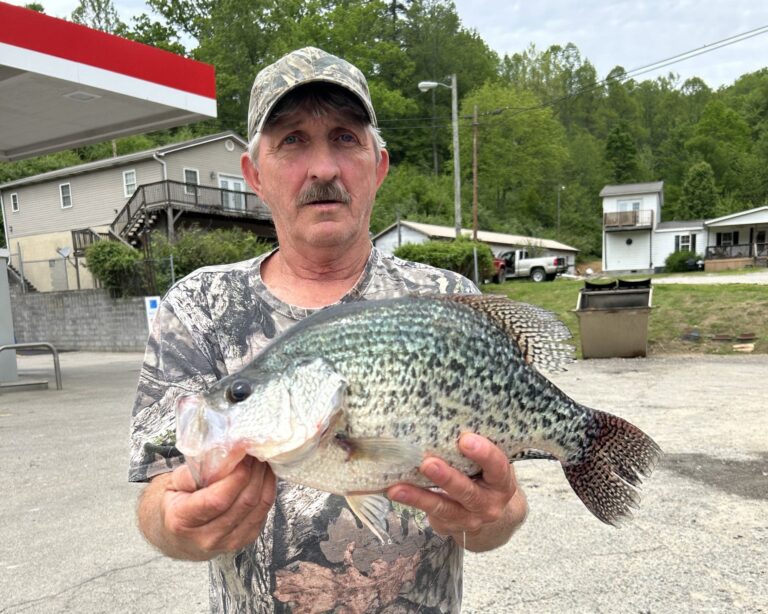 jerry porter black crappie scaled